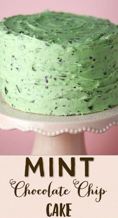 mint chocolate chip cake with text overlay