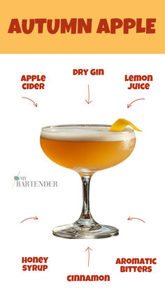 Autumn Apple Gin And Apple Cocktail, Caffe Ideas, Autumn Cocktails, Autumn Cocktail