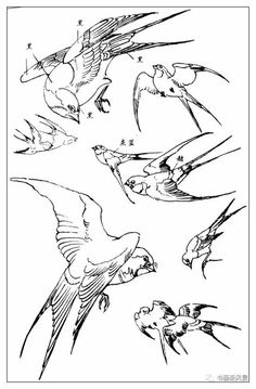 birds flying in the sky coloring page