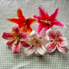 Summer/Spring Lily Hair Clips! These hairclips are perfect to jazz up any outfit, they truly go with anything and add a pop of color to your outfit! Flower Pins For Hair, Hair Flower Accessories, Lily Accessories, Flower Hair Clip, Flower Hair Clips Aesthetic, Lily Hair Clip, Cherry Hair Clip, Aesthetic Flower Claw Clip, Tropical Flower Claw Clip