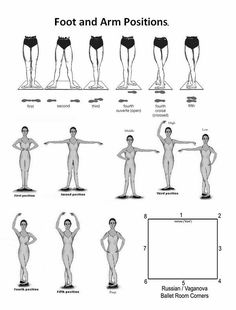 an image of different poses for the body