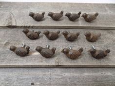 the birds are lined up on the wooden planks and ready to be put in