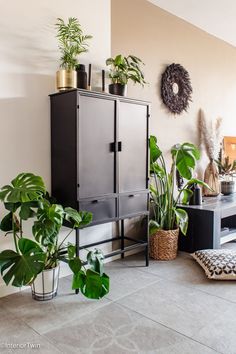 a living room filled with lots of plants next to a wall mounted planter on top of a black cabinet