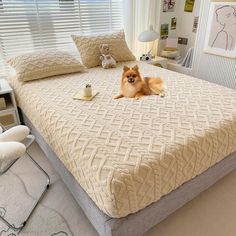 a dog sitting on top of a bed in a bedroom