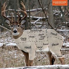 a deer cut out with the names of its parts in it's natural habitat