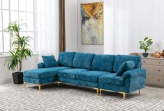 a living room with a large blue couch and potted plant in the corner next to it