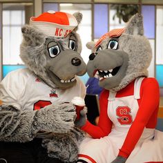 two gray and orange mascots sitting next to each other