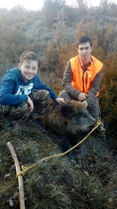 two young men kneeling down next to a dead boar on a hill with trees in the background