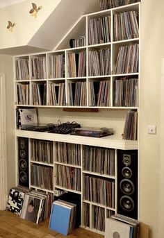 there is a shelf full of records in the room