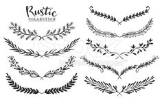 a collection of hand drawn leaves and branches