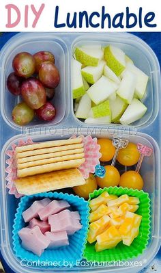 a lunch box with grapes, oranges and crackers in it that is labeled diy lunchable