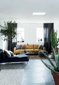 a living room filled with furniture and plants