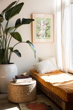 a bed sitting next to a window in a room with lots of plants on top of it