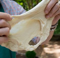 a person holding a piece of food in their hands