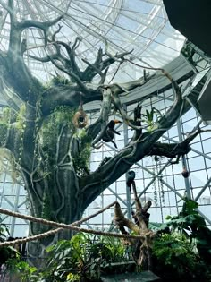 the inside of a building with many trees and plants growing on it's walls