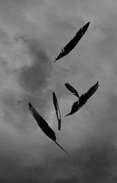 three feathers floating in the air on a cloudy day