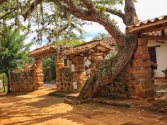 an old stone house with a tree in the foreground and dirt path leading up to it