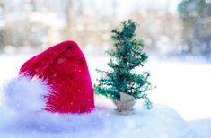 a small christmas tree next to a red santa's hat on top of snow