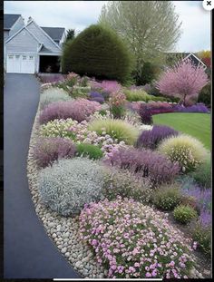 a flower garden with purple and white flowers