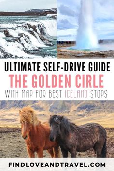 two horses standing next to each other with the words ultimate self - drive guide for the golden circle