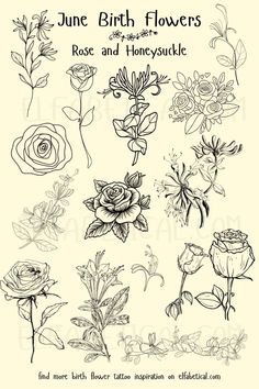 the rose and honeysuckle stamp set is shown in black ink on a white background