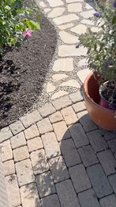 a potted plant sitting on the side of a brick walkway next to a flower bed