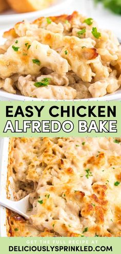 A comfort food idea in one pot! Made with rotini pasta and shredded chicken in a seasoned alfredo sauce and plenty of cheese, this yummy casserole recipe is a family-friendly dinner. Try this Easy Chicken Alfredo Bake! Bake Chicken Alfredo Oven, Oven Baked Chicken Alfredo, Easy Rotisserie Chicken Meals, Baked Chicken Alfredo, Rotini Pasta Recipes, Chicken Bakes, Easy Chicken Alfredo, Baked Chicken Alfredo Pasta