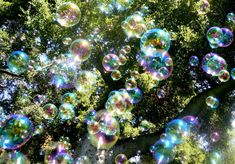 soap bubbles floating in the air near a tree