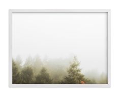 trees in the fog on a white background with a wooden framed photo hanging above them