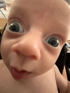 Weird Baby Pictures, Silly Baby Pictures, Cute Funny Pics, Funny Animal Photos, Goofy Pictures, Funny Short Clips, Mom And Sister