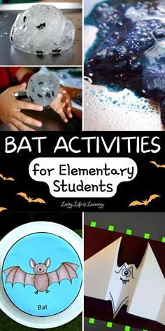 bat activities for elementary students to do with their bats and other things in the background