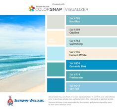 the color scheme for colorsnap visualizer is shown in blue, green and white