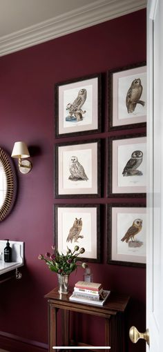 a living room with purple walls and pictures on the wall, including an owl print