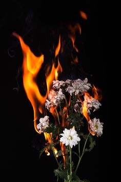 a vase filled with white flowers sitting on top of a table covered in fire and flames