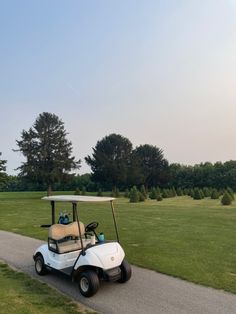 a white golf cart parked on the side of a road next to a lush green field