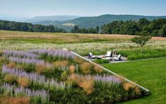 an aerial view of a lush green field with lounge chairs and flowers in the foreground