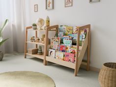 there is a book shelf with many books on it in the room next to a potted plant