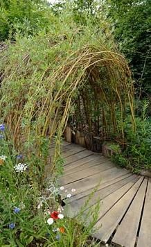 a wooden walkway surrounded by plants and flowers