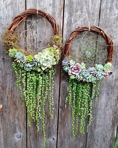 two wicker wreaths with succulents hanging from them on a wooden fence