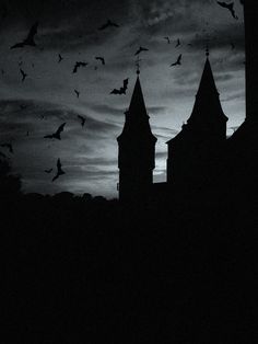 bats are flying in the sky over an old building with steeple tops at night