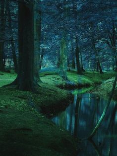 a small stream running through a forest filled with blue trees and leaves at night time