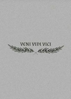 the words vein vidi vici written in black on a gray background