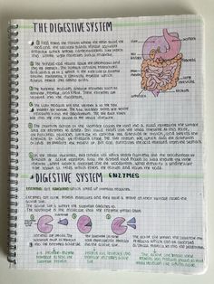 the digest system in a notebook