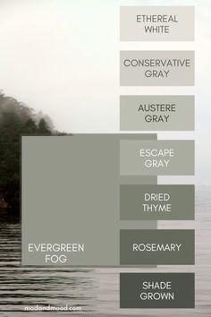 an image of the different shades of water in each color scheme, including gray and green