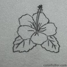 a drawing of a flower is shown in black and white