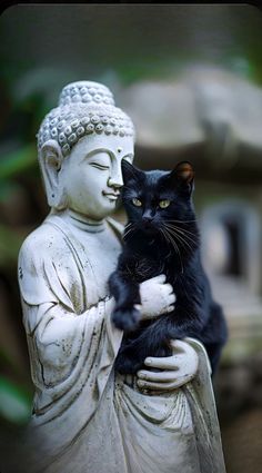 a black cat sitting on top of a buddha statue