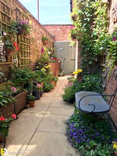 an alley way with lots of plants and flowers