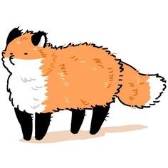 an orange and white furry animal standing on the ground