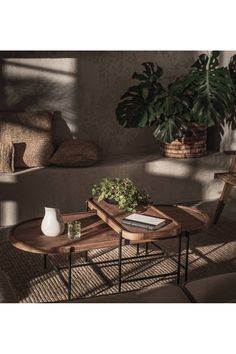 a living room filled with furniture and a potted plant on top of a table