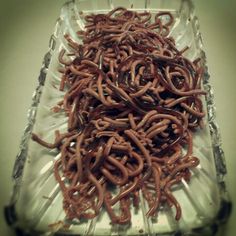 a glass dish filled with lots of brown worms